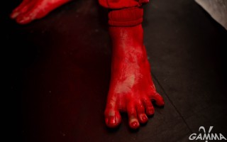 IMG_8344